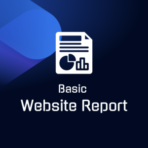 Basic Website Report